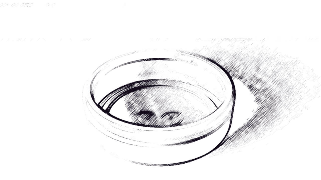 Die geruchlose Katzentoilette von katchit